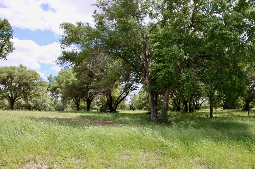 31 Mallard Lane Columbus, TX 78934