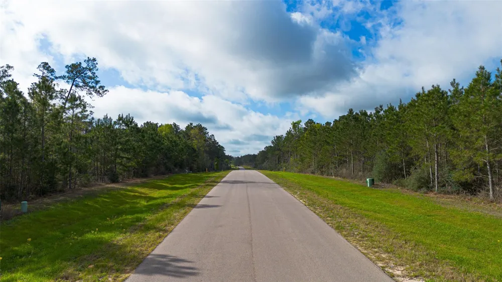 15982 Wood Grove Way Willis, TX 77378