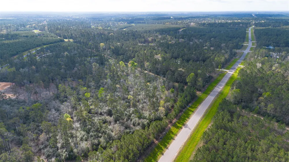 15982 Wood Grove Way Willis, TX 77378