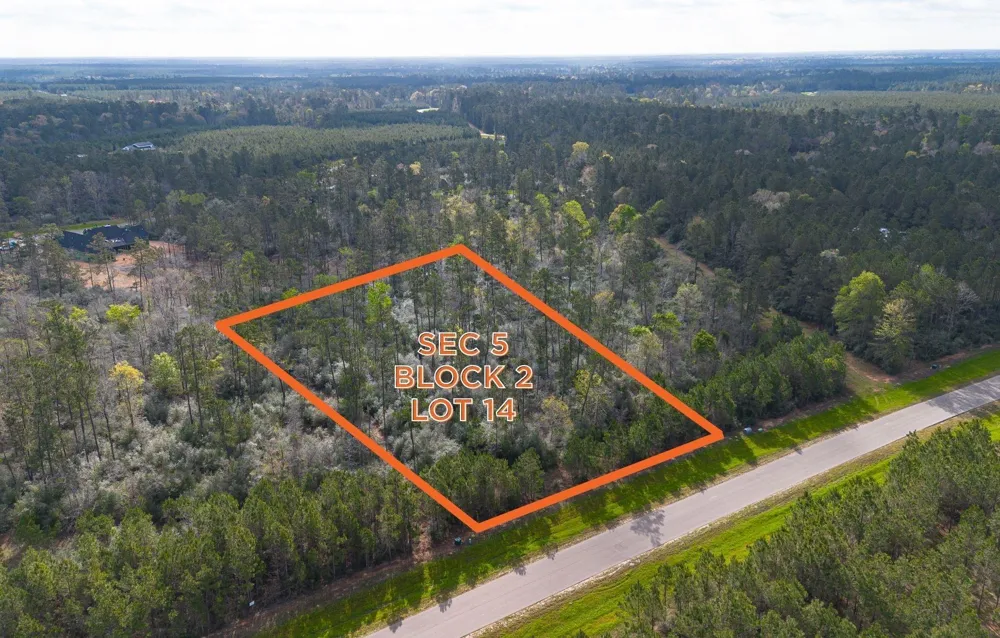 15982 Wood Grove Way Willis, TX 77378