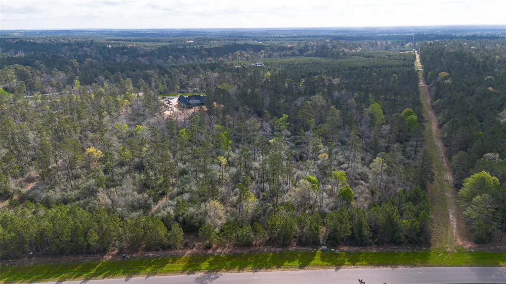 15982 Wood Grove Way Willis, TX 77378