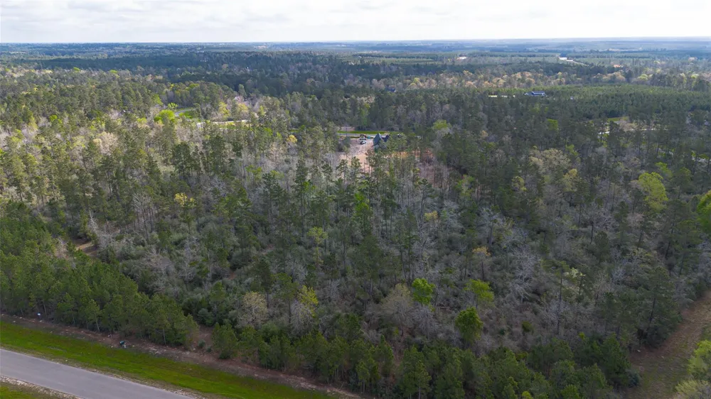 15982 Wood Grove Way Willis, TX 77378