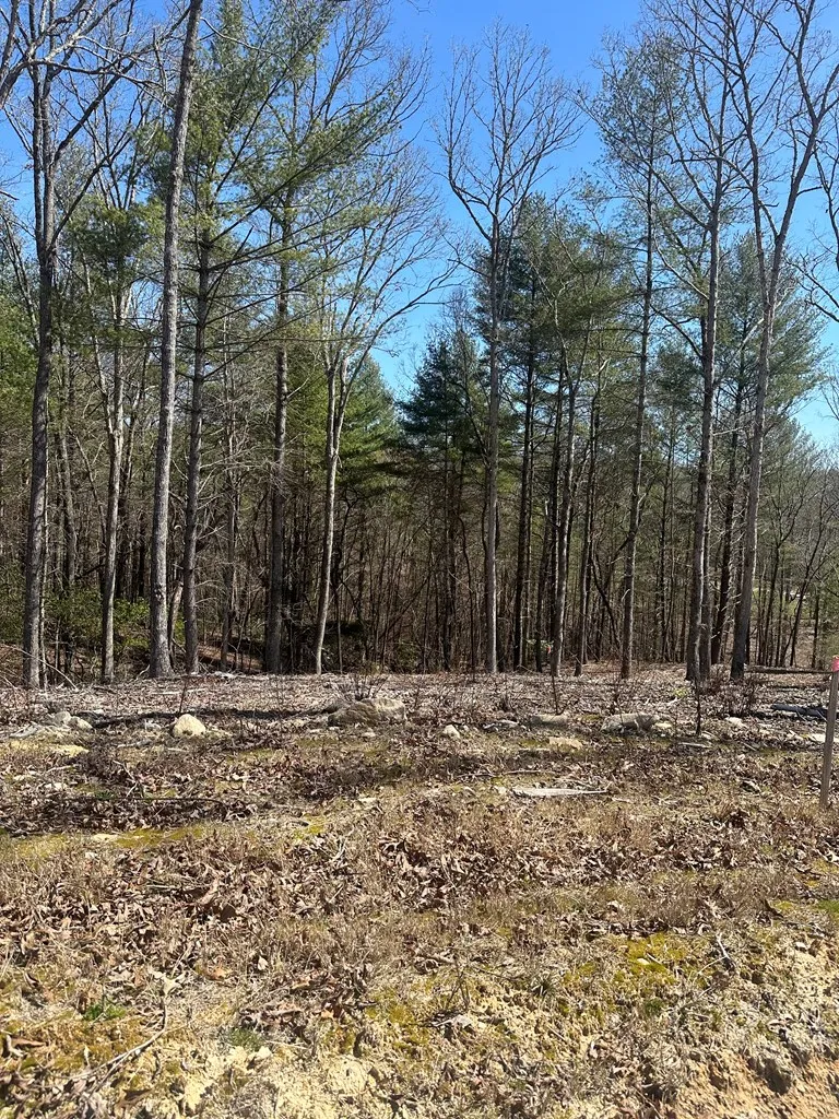 Lot 188 The Ridges Morganton, GA 30560