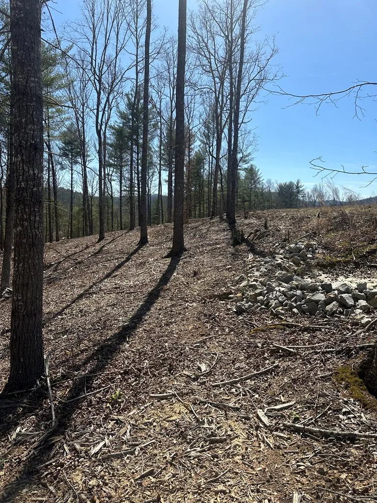 Lot 188 The Ridges Morganton, GA 30560