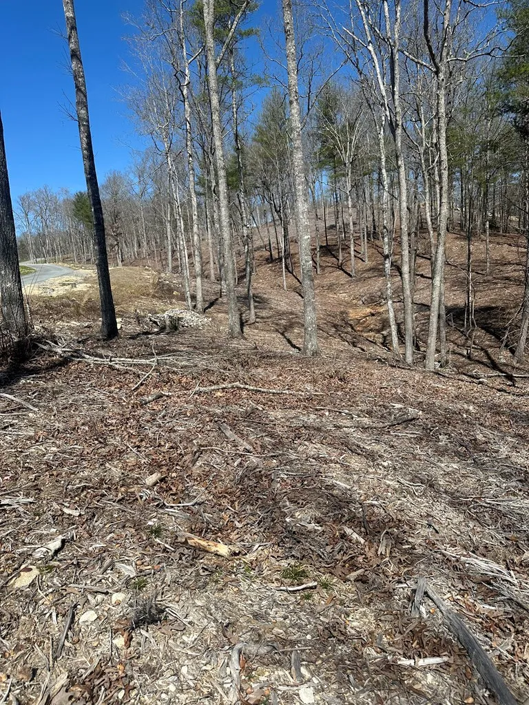 Lot 188 The Ridges Morganton, GA 30560