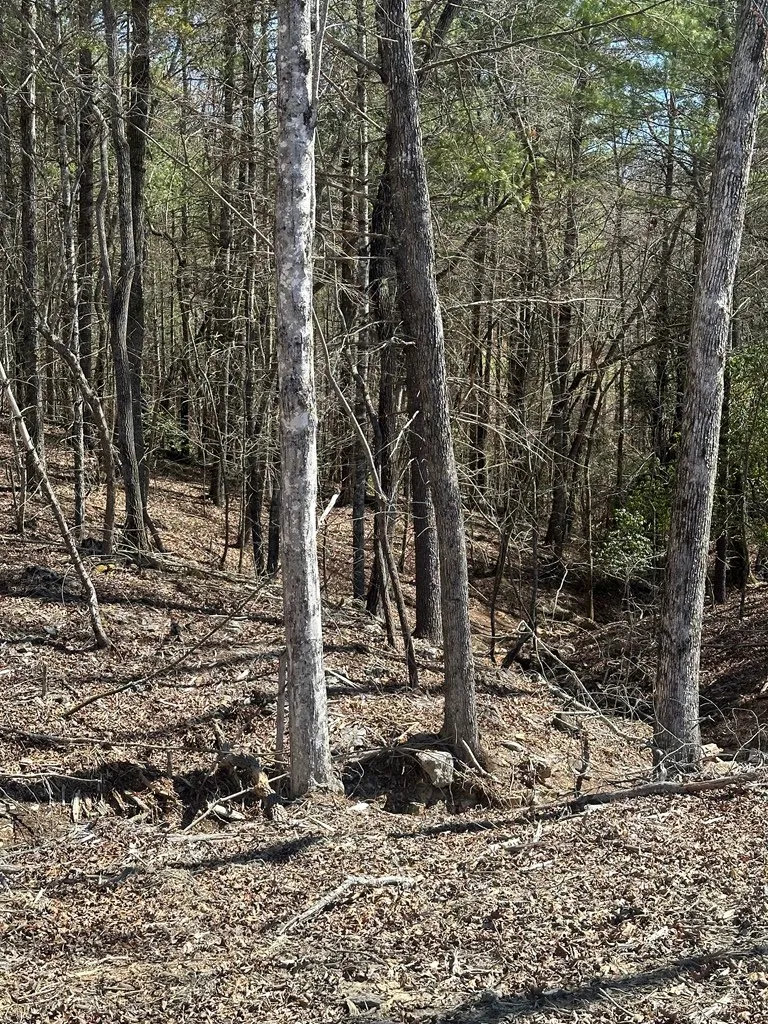 Lot 188 The Ridges Morganton, GA 30560