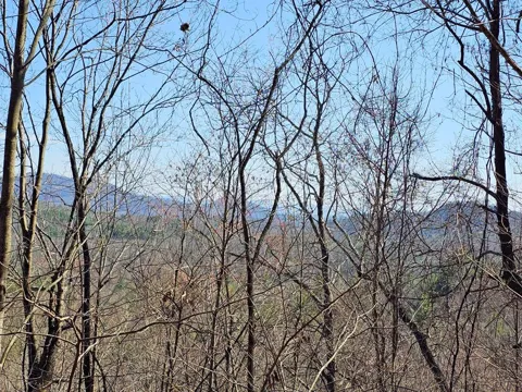 Lot 39 Merlin Trail/Warbler Road