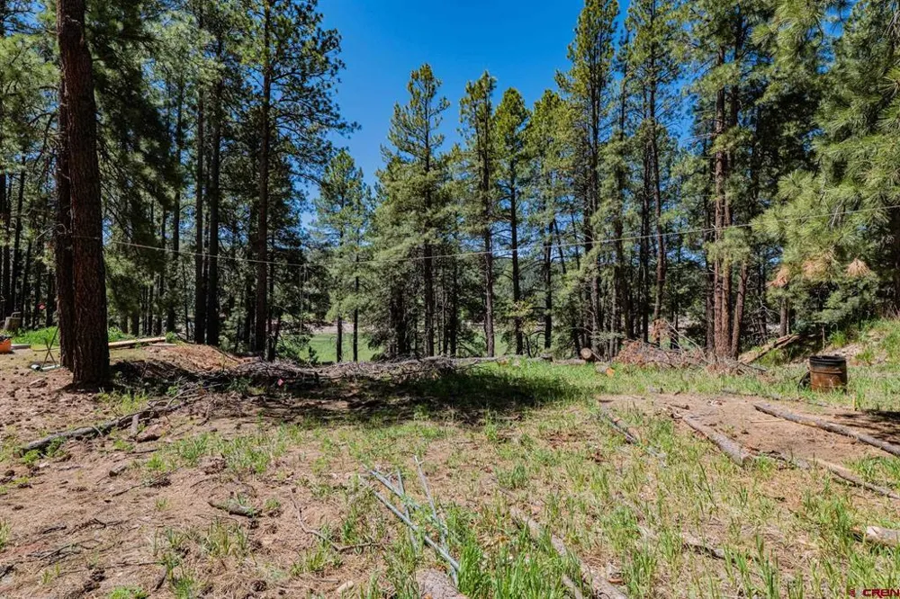 171 Snowbird Court Bayfield, CO 81122