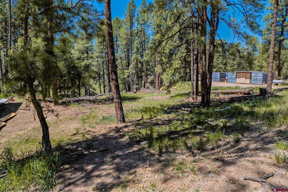 171 Snowbird Court Bayfield, CO 81122