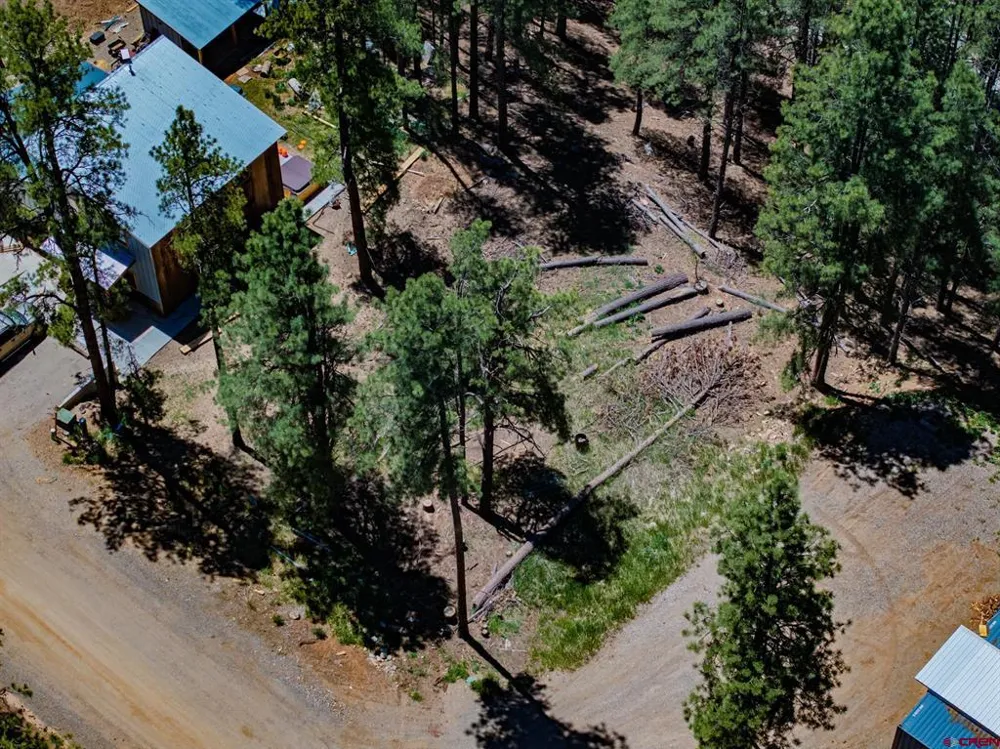 171 Snowbird Court Bayfield, CO 81122