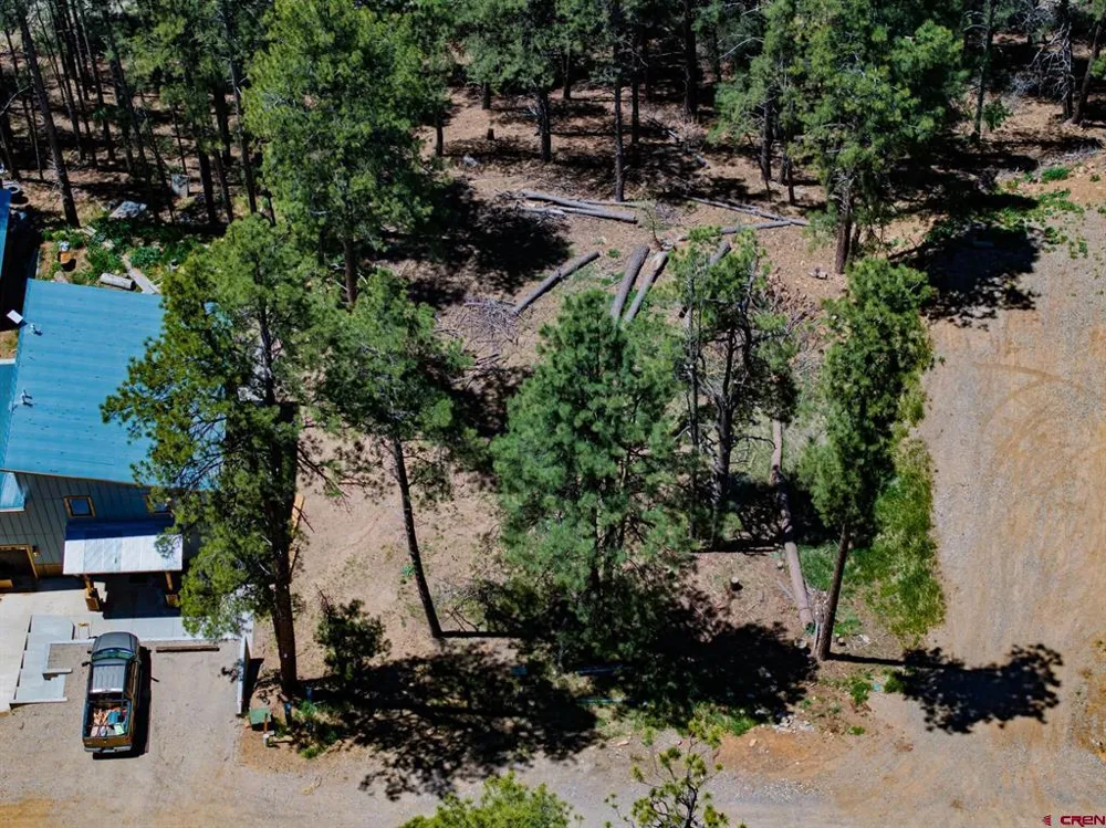 171 Snowbird Court Bayfield, CO 81122
