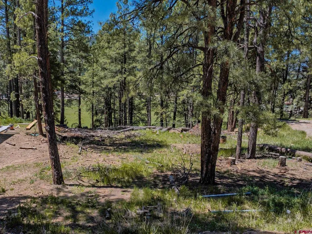171 Snowbird Court Bayfield, CO 81122