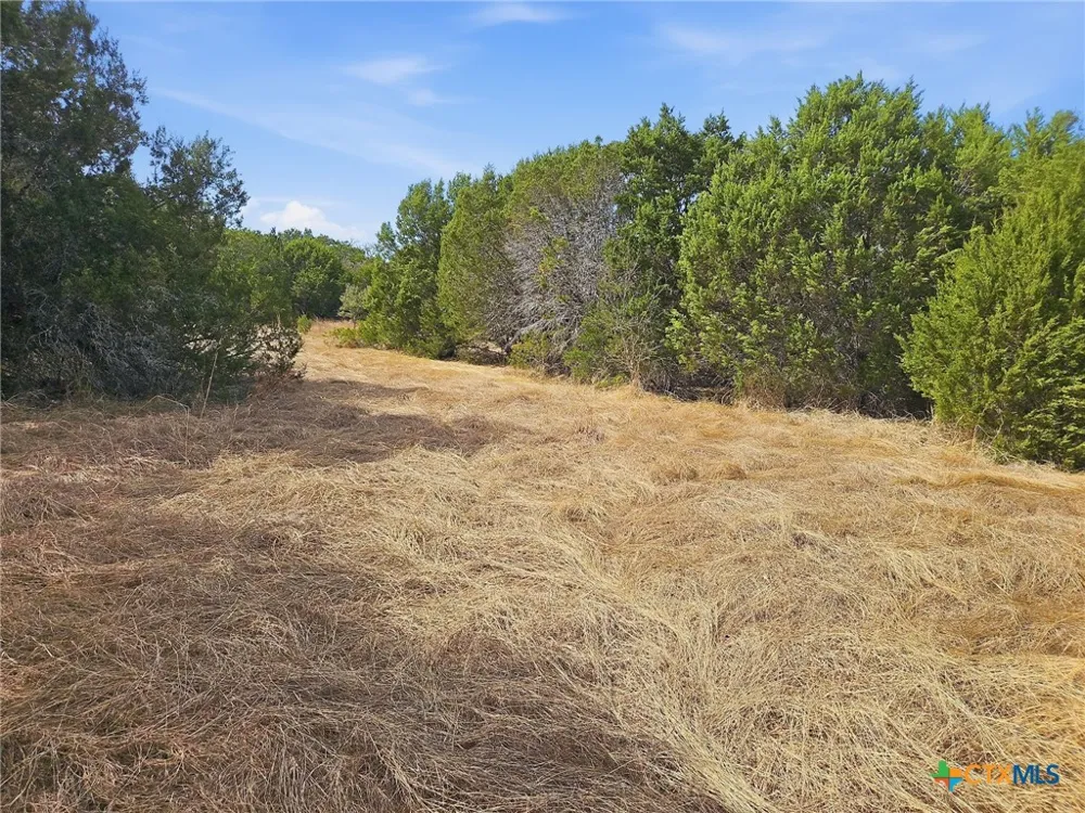 880 County Road 158 Evant, TX 76525