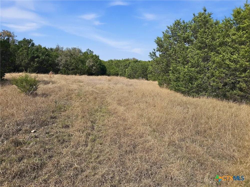 880 County Road 158 Evant, TX 76525