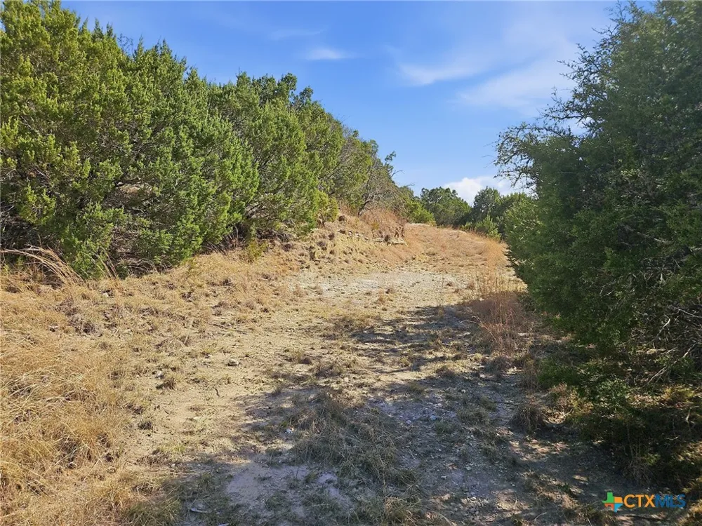 880 County Road 158 Evant, TX 76525
