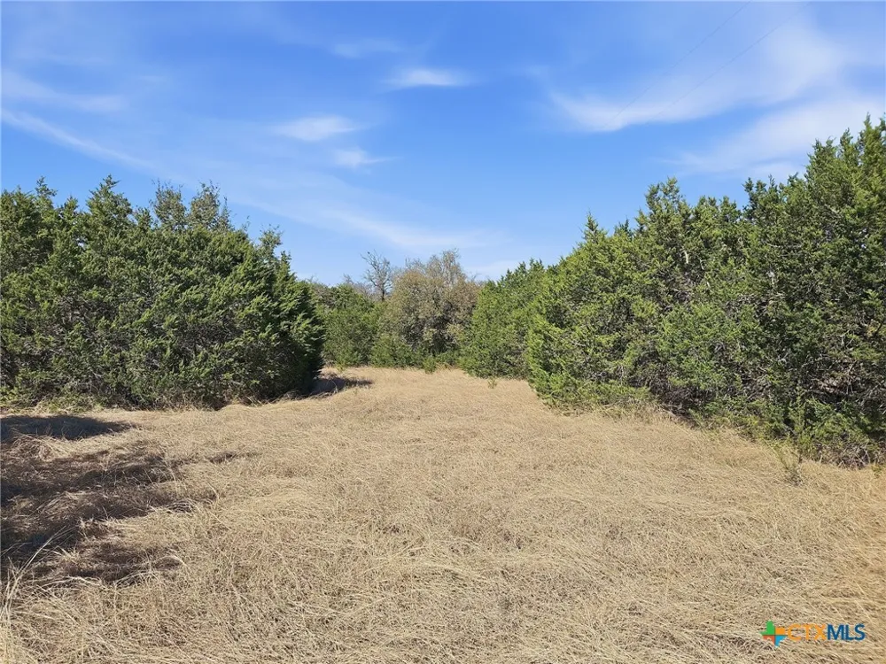 880 County Road 158 Evant, TX 76525