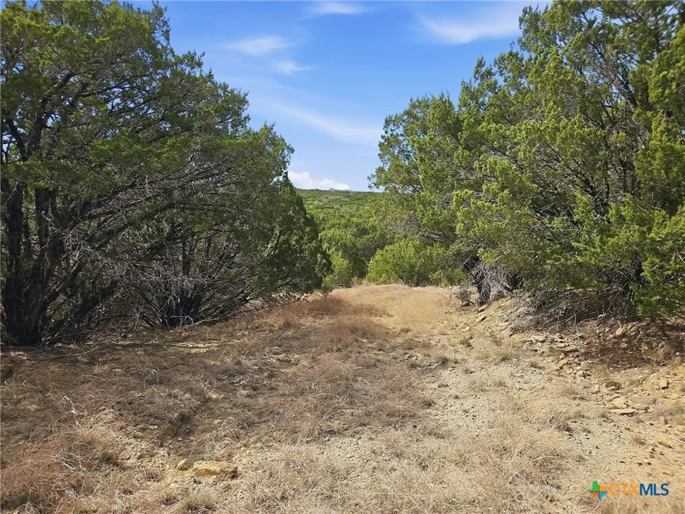 880 County Road 158 Evant, TX 76525