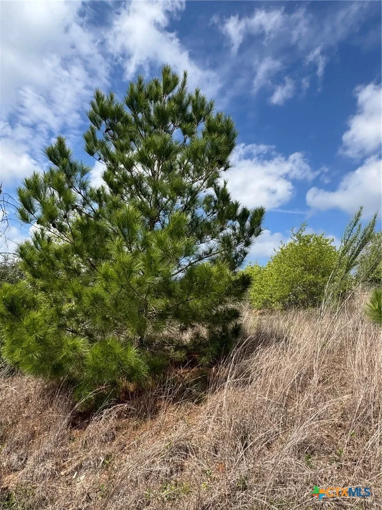 Hudson Road Smithville, TX 78957