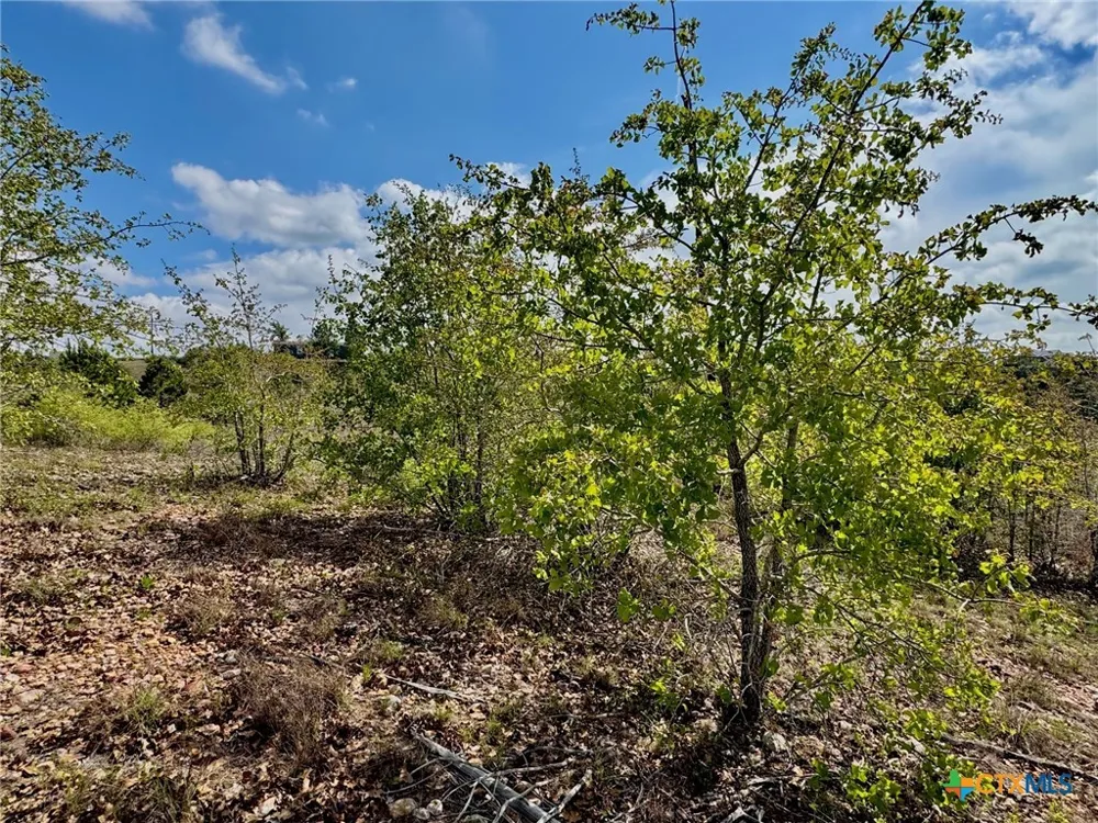 Hudson Road Smithville, TX 78957