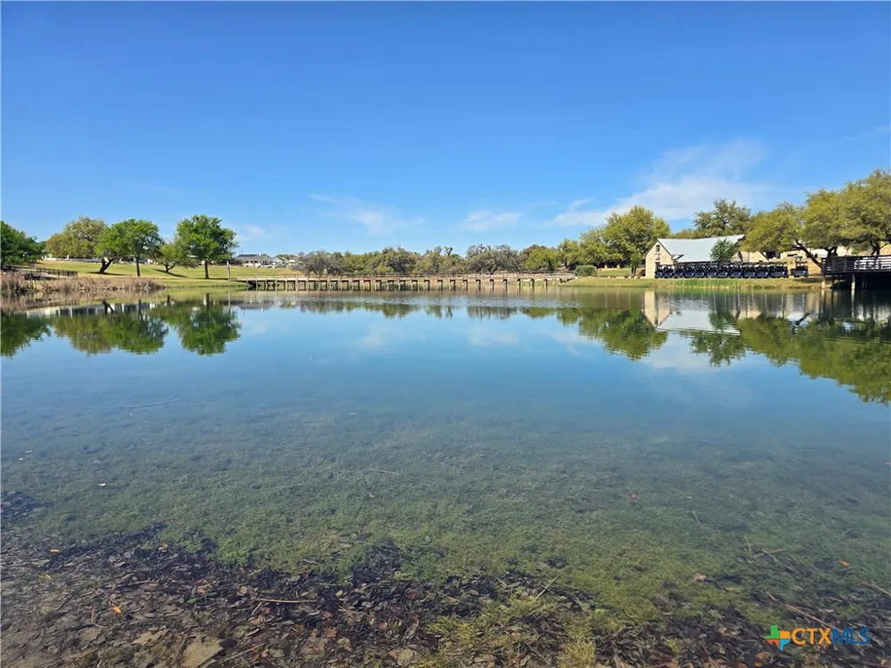 216 George Dolson Blanco, TX 78606
