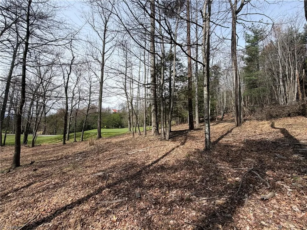 Lot 28 Greenstreet Drive Traphill, NC 28685