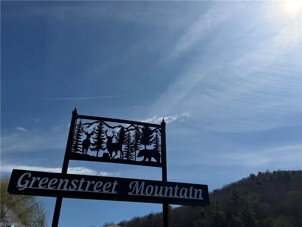 Lot 28 Greenstreet Drive Traphill, NC 28685