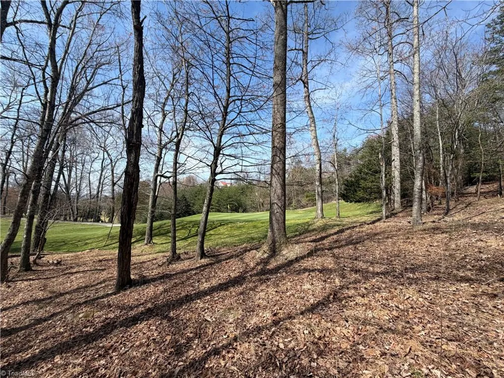 Lot 28 Greenstreet Drive Traphill, NC 28685