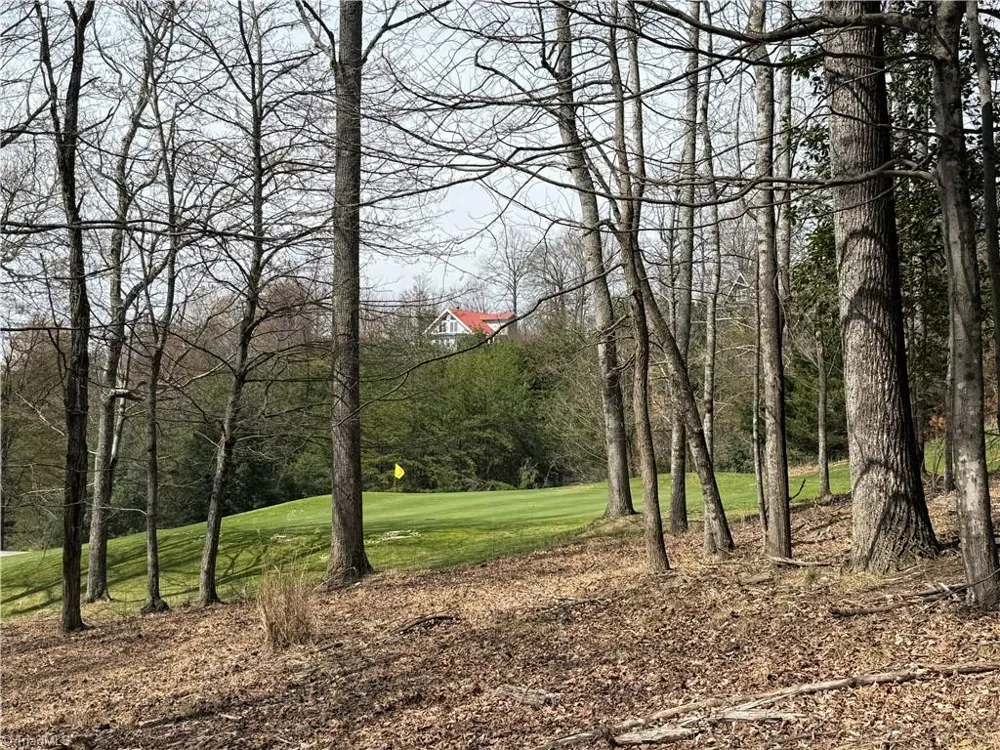 Lot 28 Greenstreet Drive Traphill, NC 28685