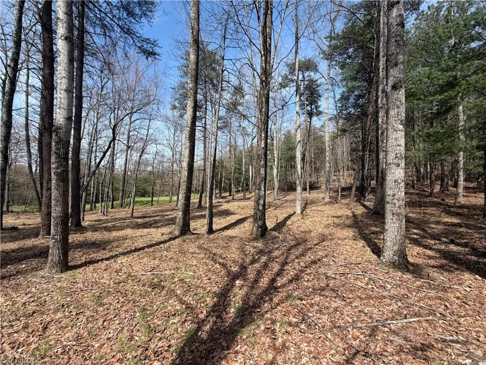Lot 28 Greenstreet Drive Traphill, NC 28685
