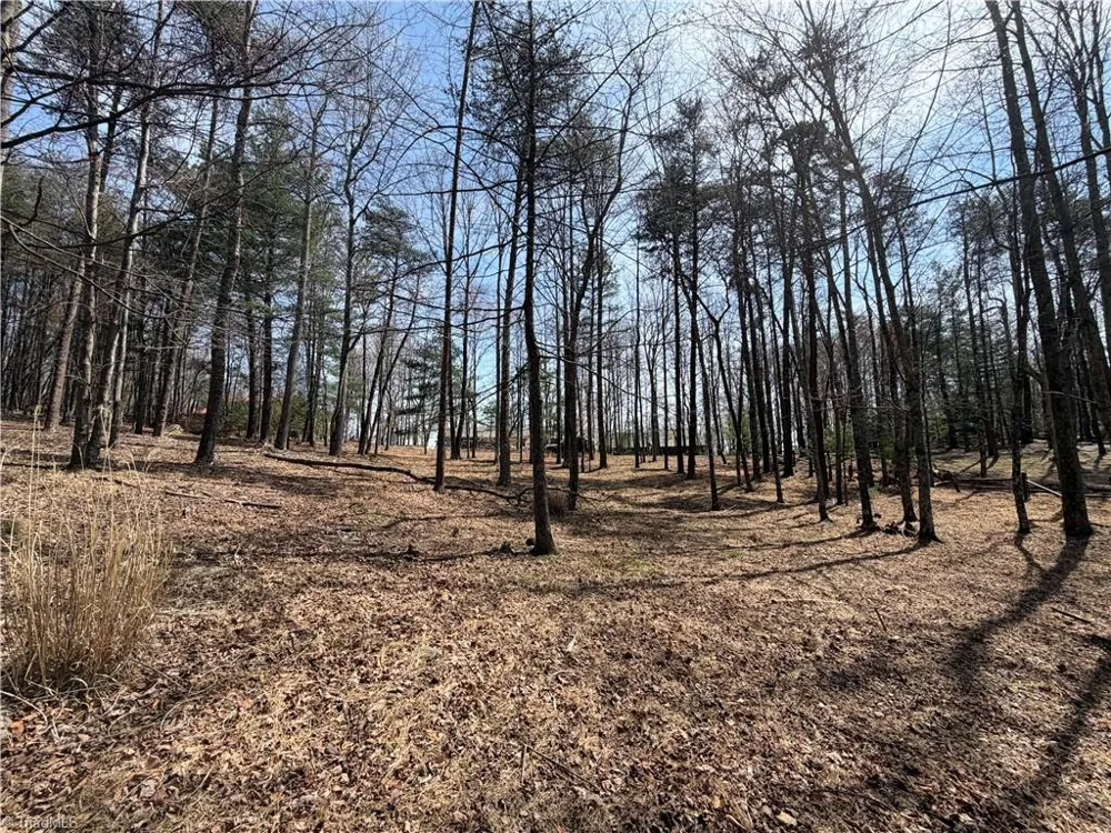 Lot 28 Greenstreet Drive Traphill, NC 28685