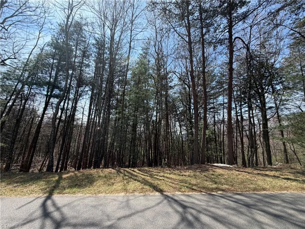Lot 105 Greenstreet Drive Traphill, NC 28685