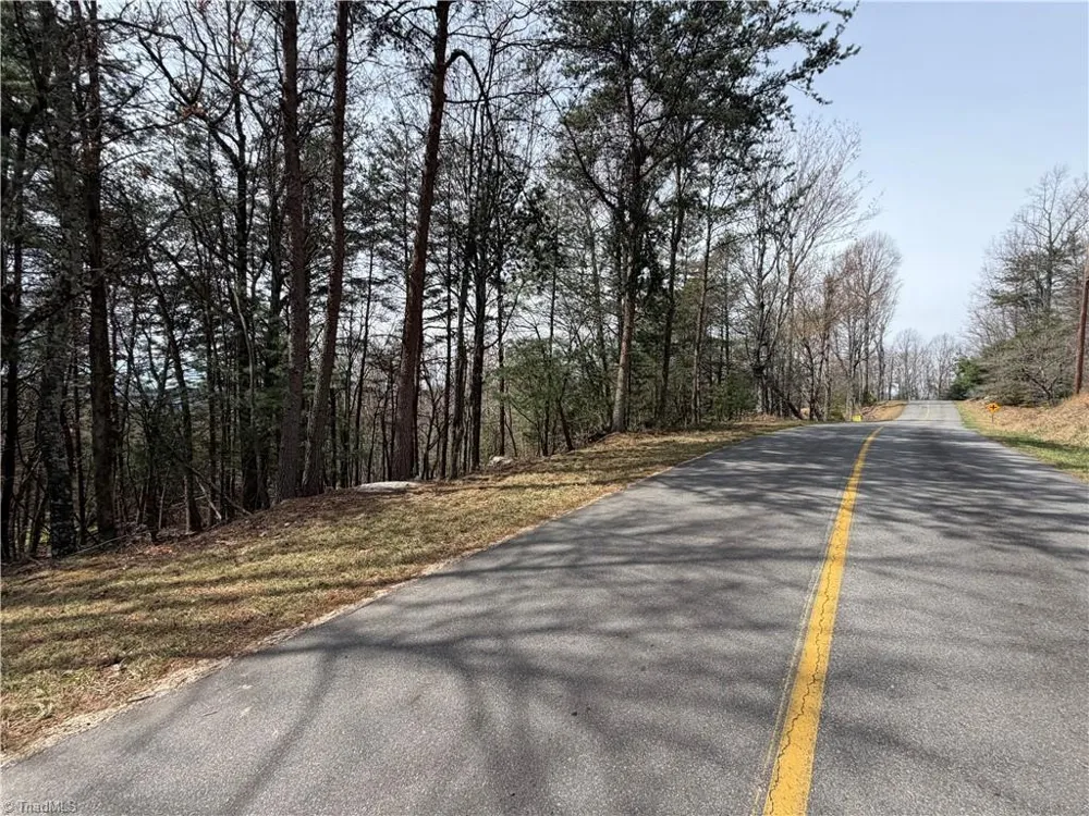 Lot 105 Greenstreet Drive Traphill, NC 28685