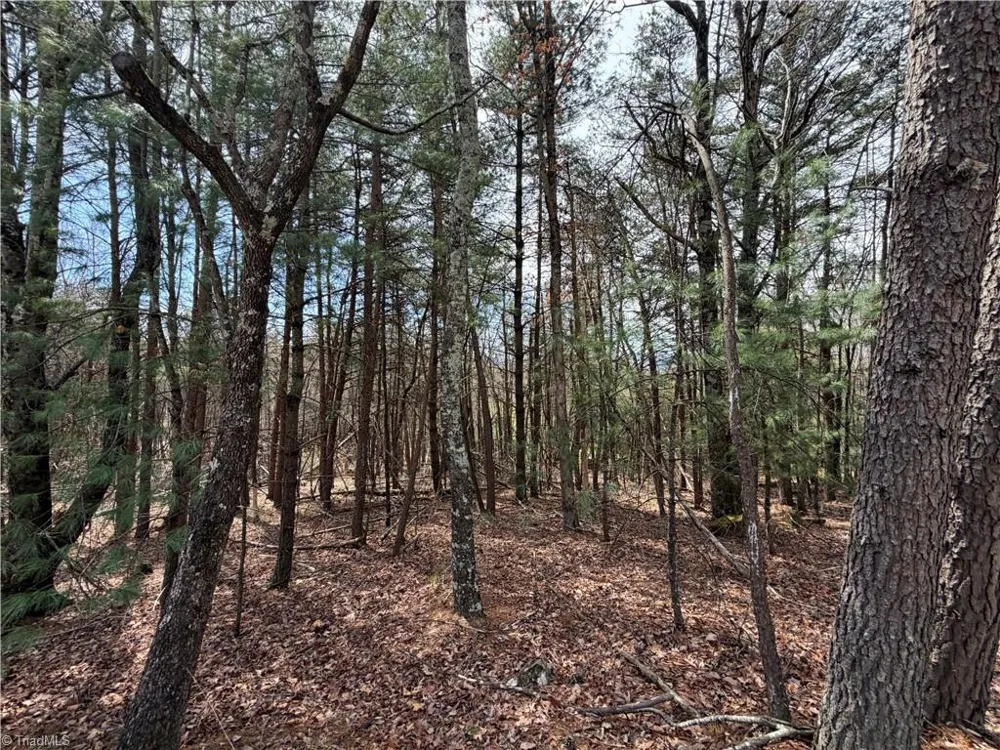 Lot 105 Greenstreet Drive Traphill, NC 28685