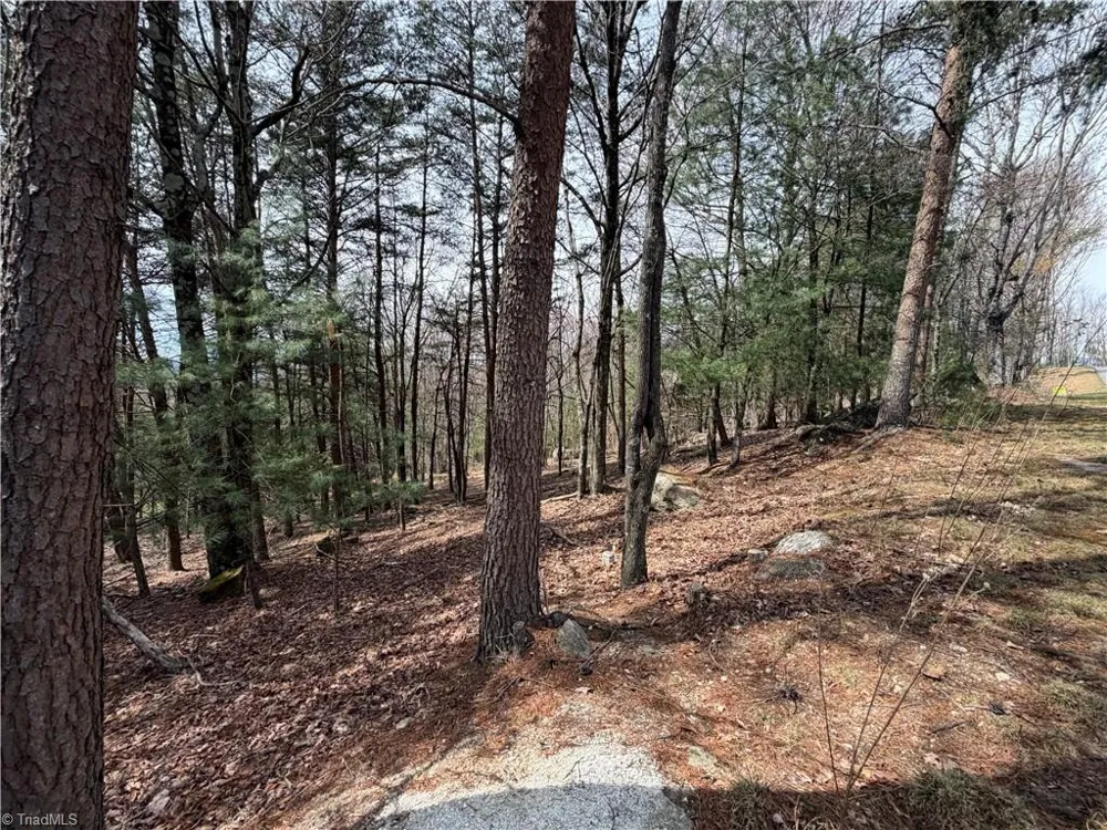 Lot 105 Greenstreet Drive Traphill, NC 28685