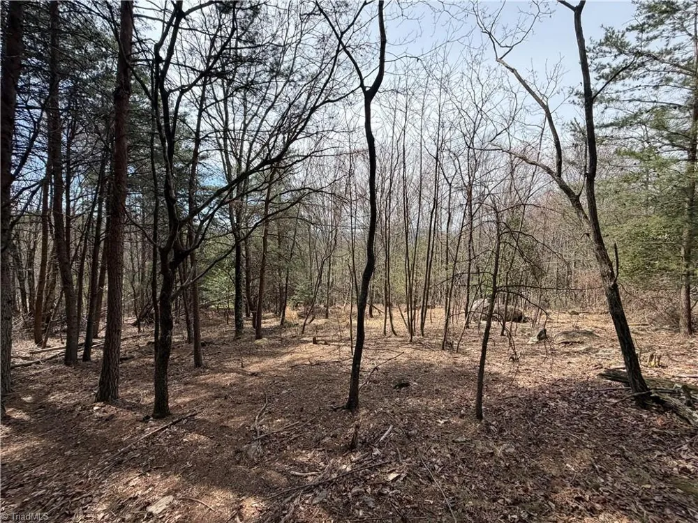 Lot 105 Greenstreet Drive Traphill, NC 28685