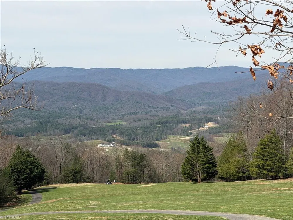 Lot 105 Greenstreet Drive Traphill, NC 28685