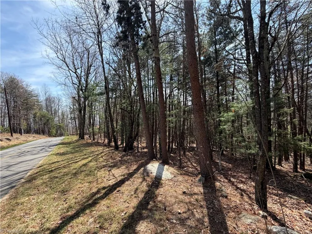 Lot 105 Greenstreet Drive Traphill, NC 28685