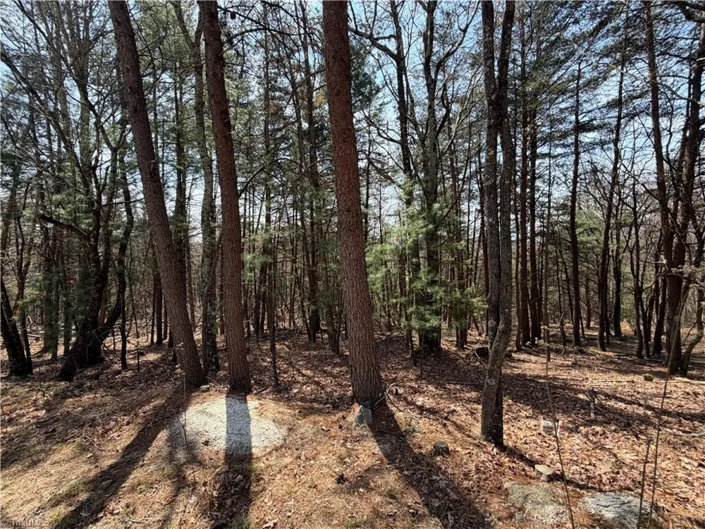 Lot 105 Greenstreet Drive Traphill, NC 28685