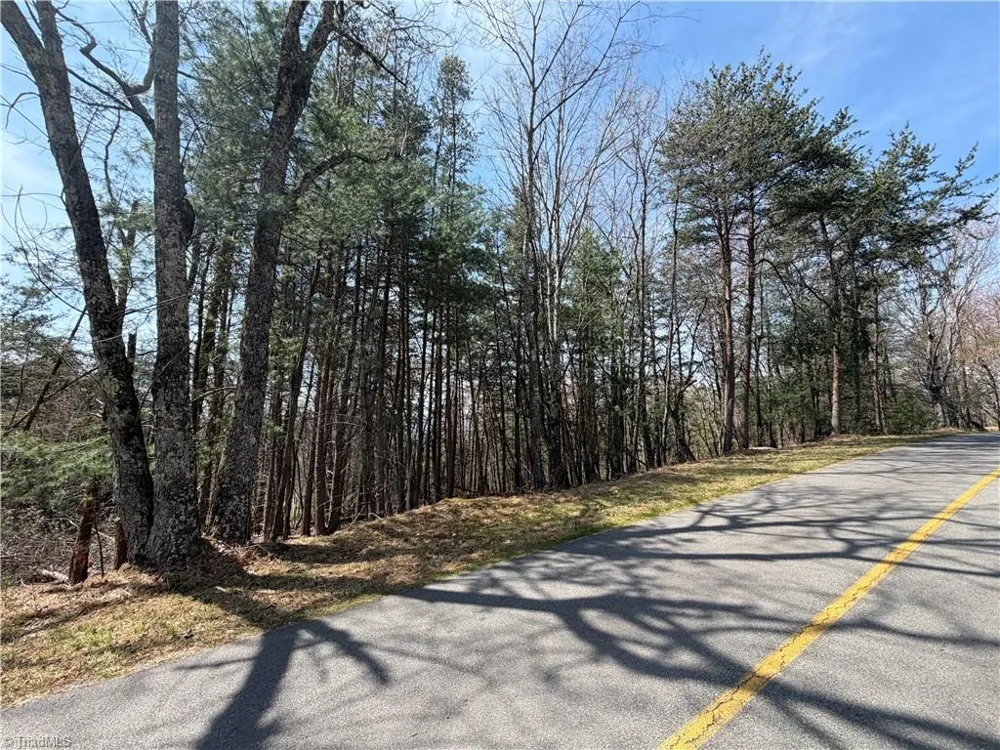 Lot 105 Greenstreet Drive Traphill, NC 28685