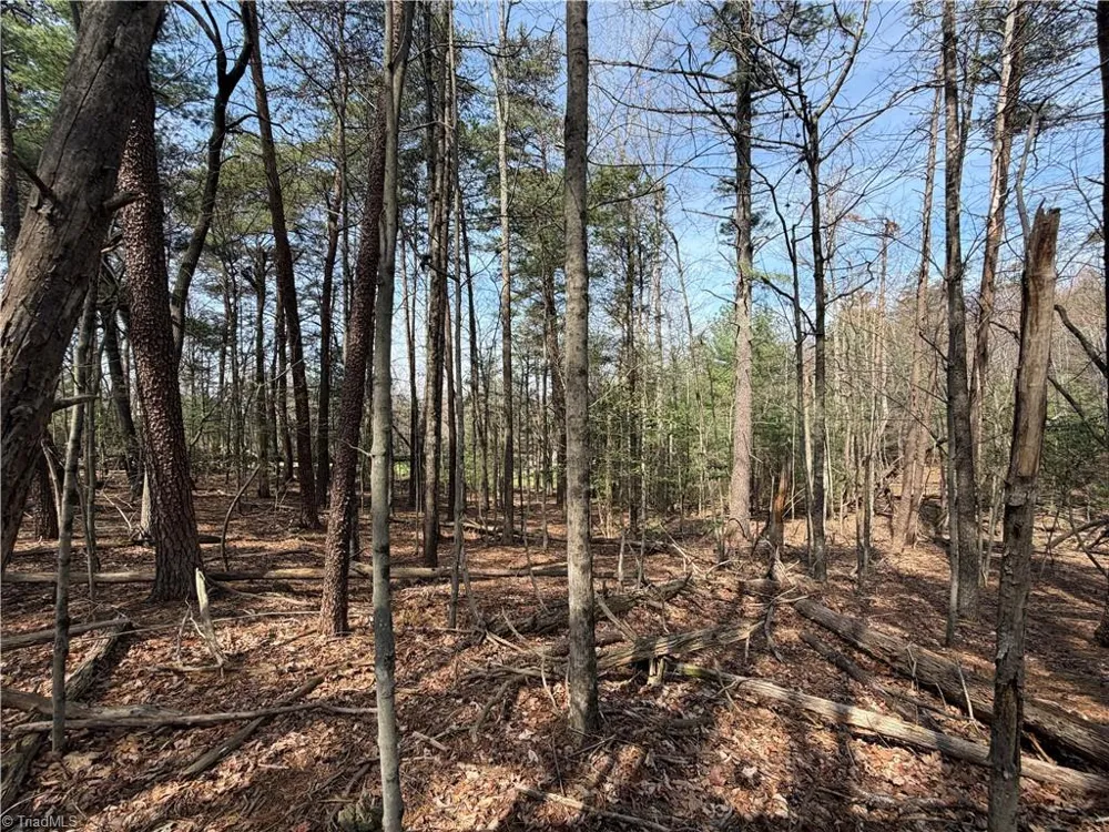 Lot 33 Greenstreet Drive Traphill, NC 28685