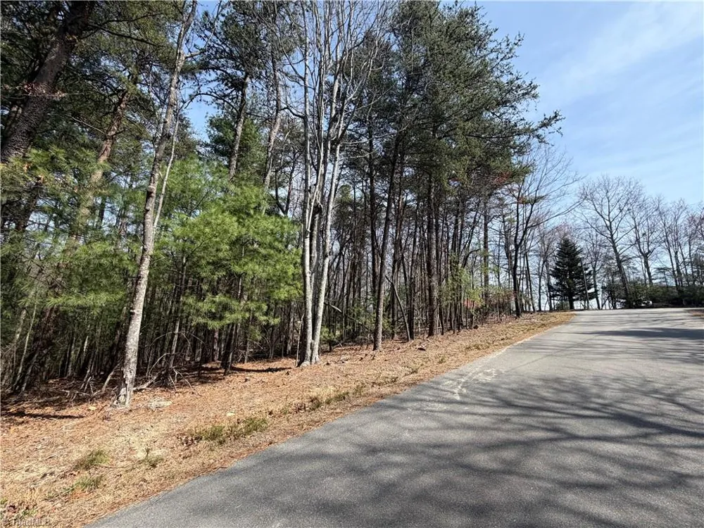 Lot 33 Greenstreet Drive Traphill, NC 28685