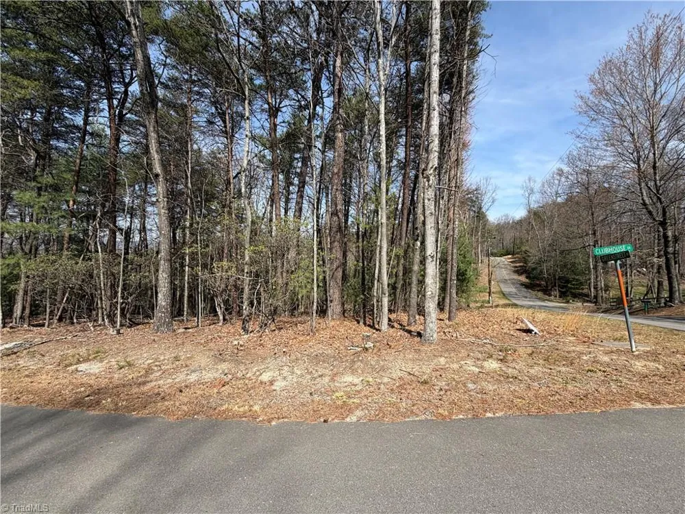Lot 33 Greenstreet Drive Traphill, NC 28685