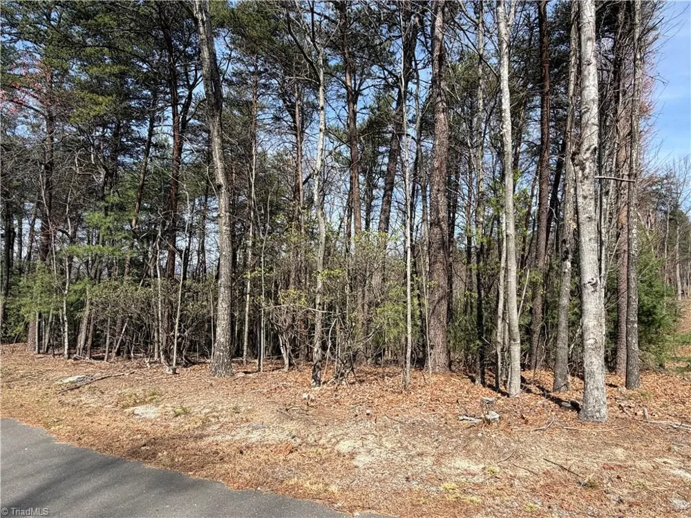 Lot 33 Greenstreet Drive Traphill, NC 28685