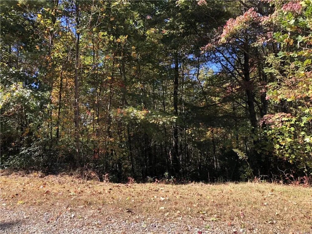 2 Majestic Court Boomer, NC 28606