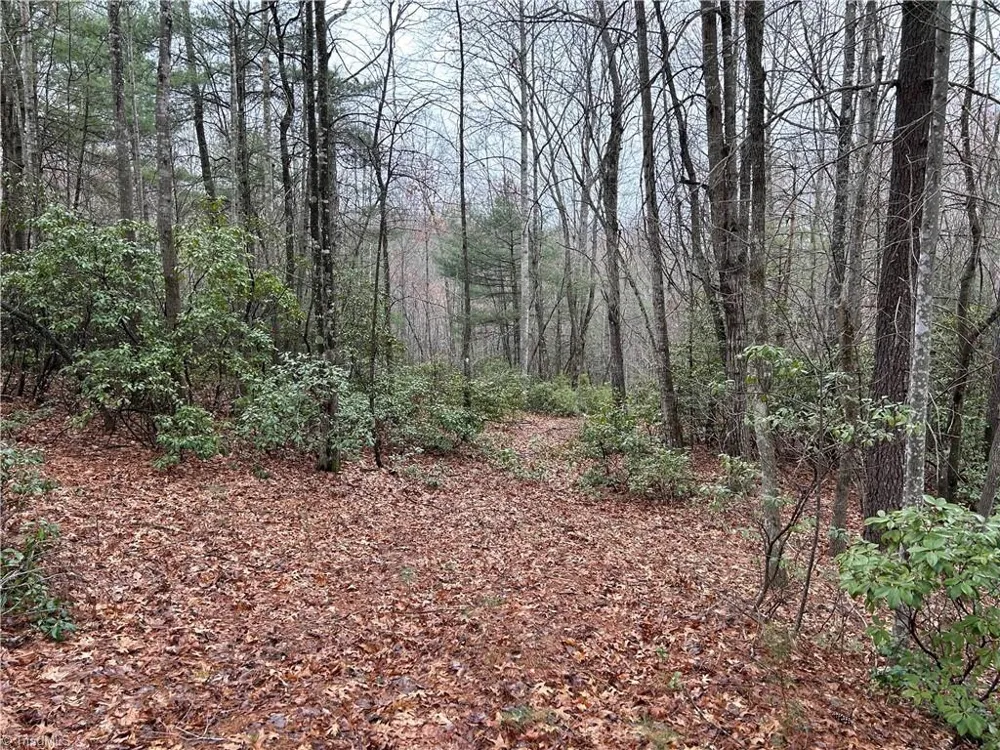 2 Majestic Court Boomer, NC 28606