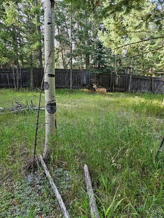 Rolling Park Drive Woodland Park, CO 80863