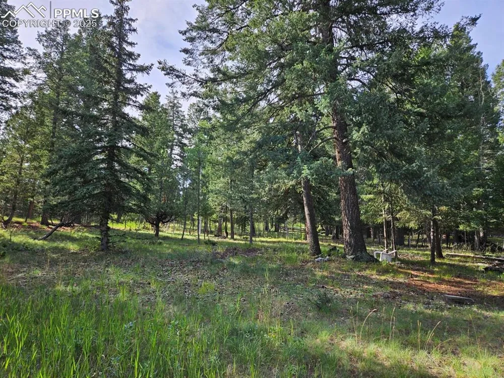 Rolling Park Drive Woodland Park, CO 80863
