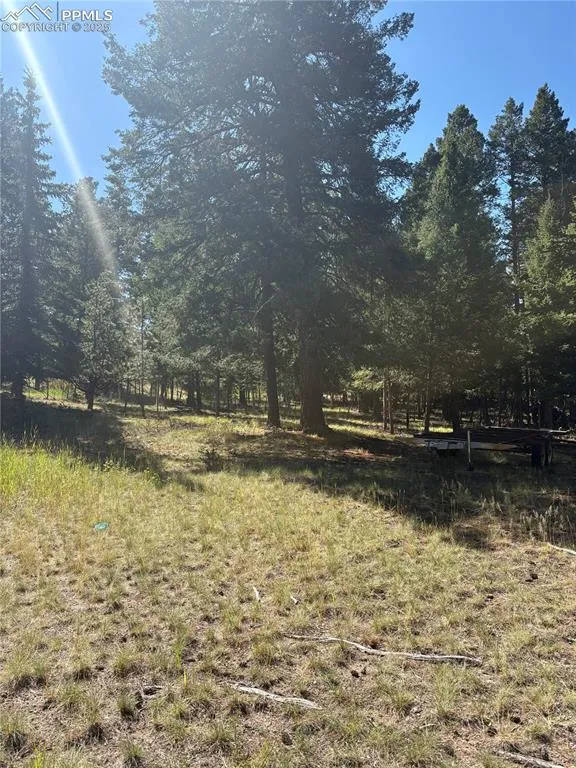 Rolling Park Drive Woodland Park, CO 80863