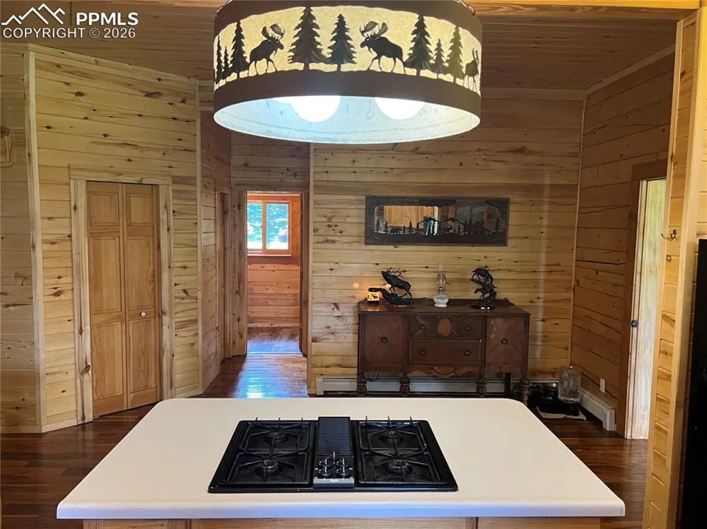 87 Thompson Road La Veta, CO 81055