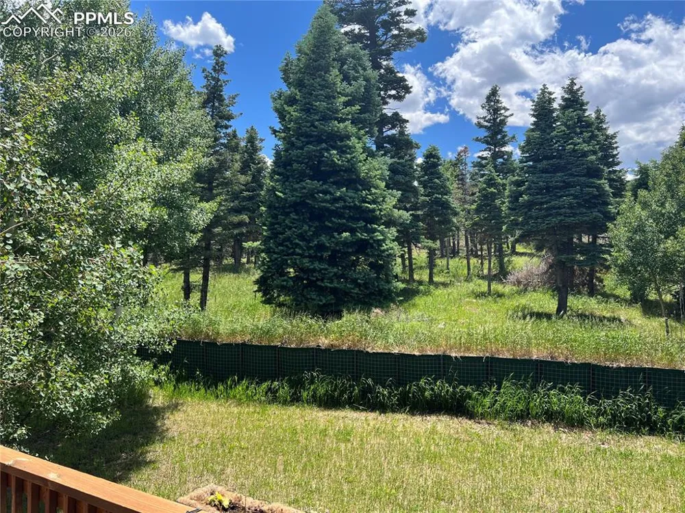 87 Thompson Road La Veta, CO 81055